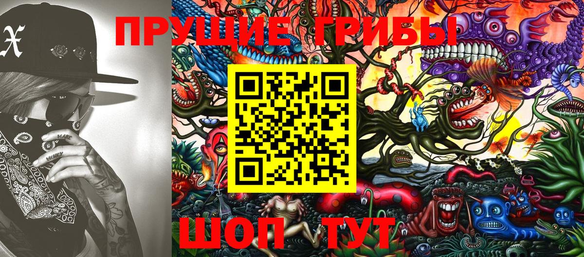 купить наркотики сайты  Вход с VPN  Киселёвск  Псилоцибиновые грибы Cubensis  Псилоцибиновые грибы мухоморы 