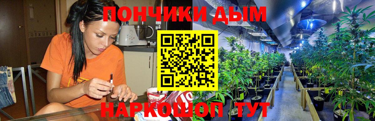 Канабис SATIVA & INDICA Киселёвск